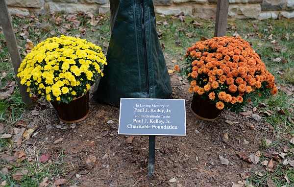plaque at the base of the tree